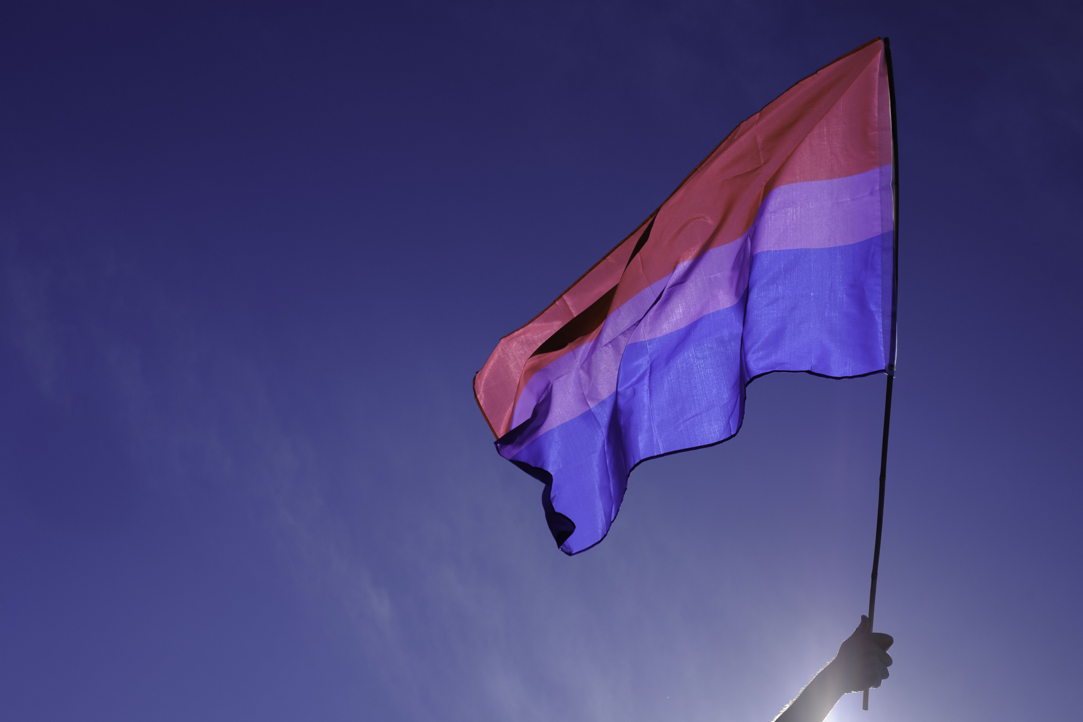Bandera bisexual ondeando en el viento
