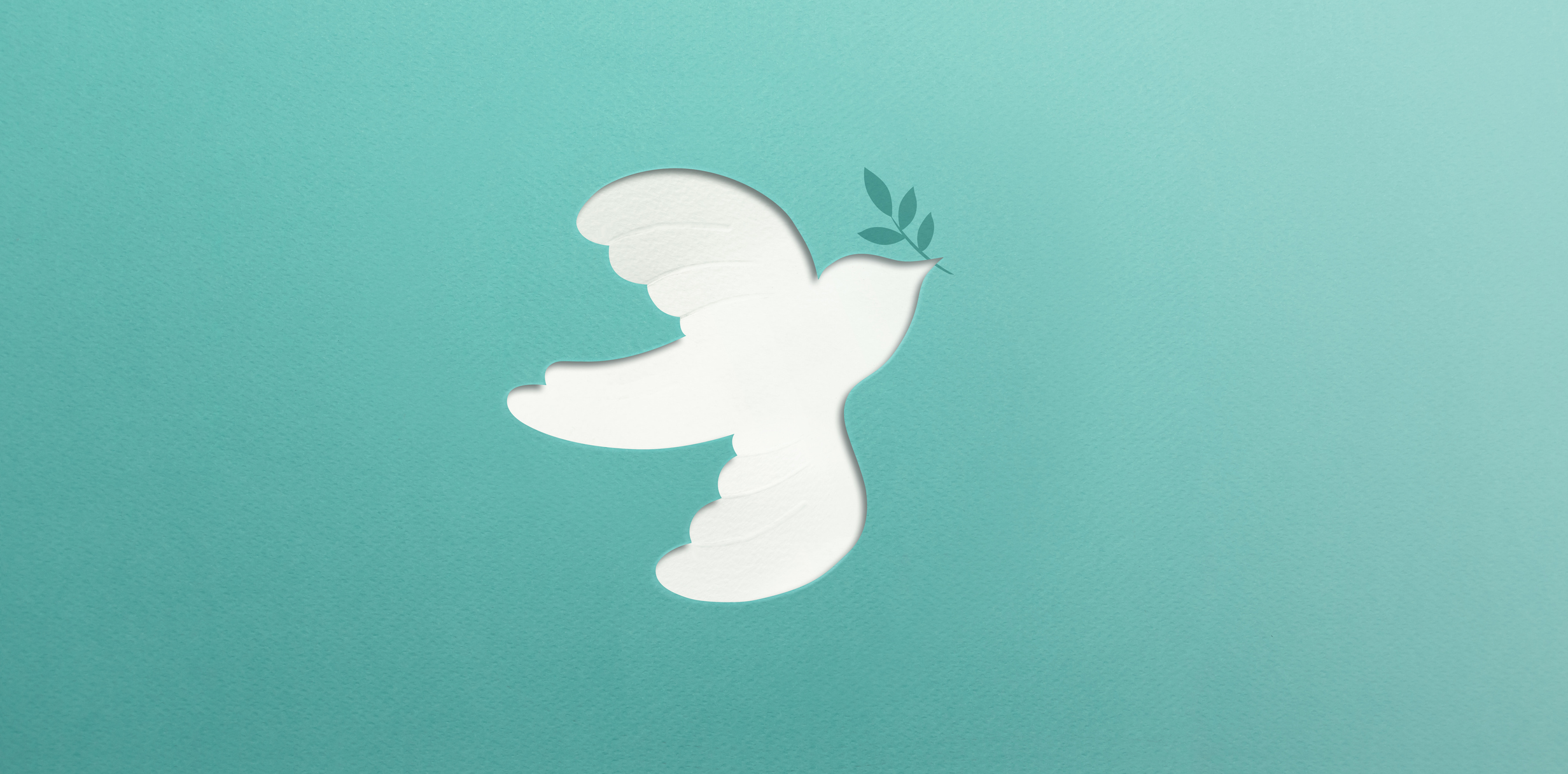 Paz y nuevos comienzos de esperanza