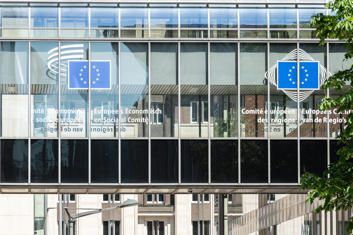 El Comité Económico y Social Europeo (CESE)