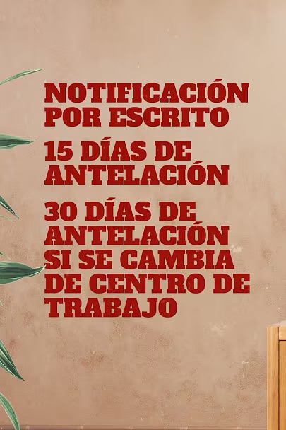 Cosas que tu jefe no puede hacer