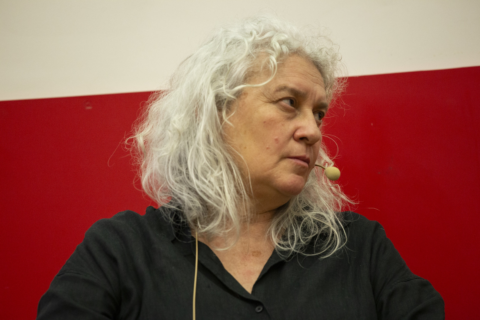 Eva Hernández Jorge, coordinadora del Área de Gobernanza, Unidad de Incidencia para la Transición Verde (UITV) de SEO/BirdLife