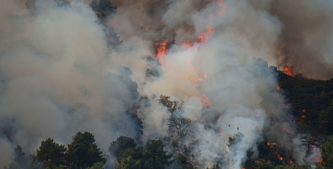 Incendio forestal