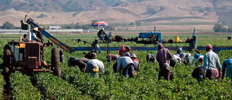 Personas trabajadoras del campo